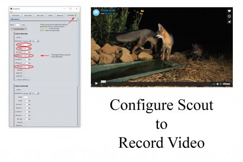 Configure the Scout Cam Box To Record Video