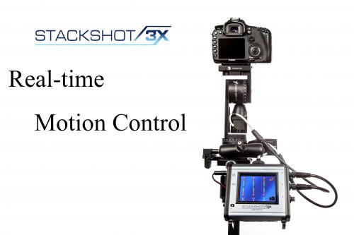 Real-Time Motion Control - Video