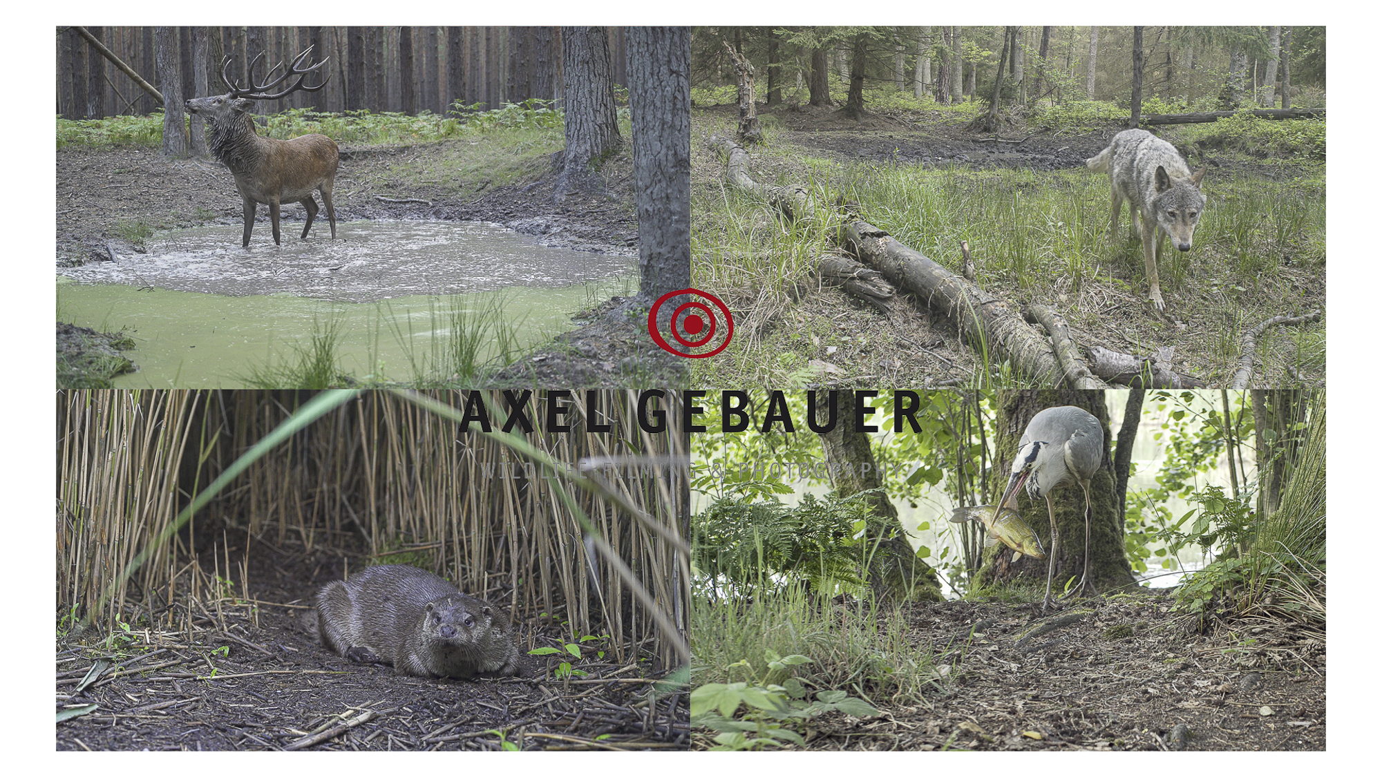 Axel Gebauer 4k Frame Grabs