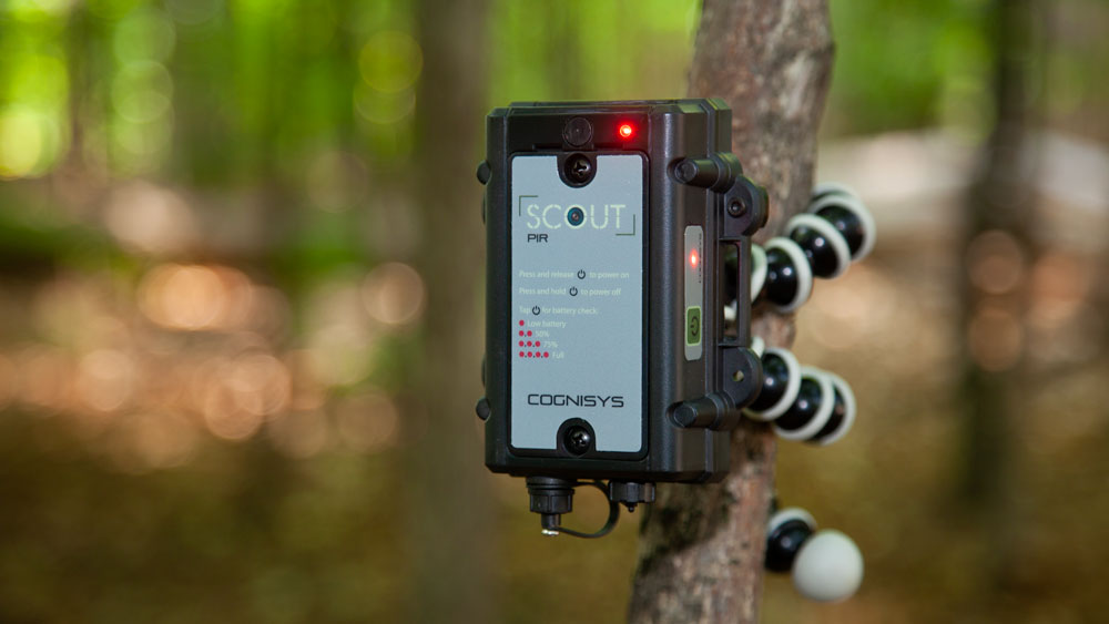 Scout PIR - Camera Trapping System